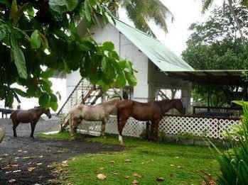 Bonjouir Lodge Paradise Teahupoo Exterior foto
